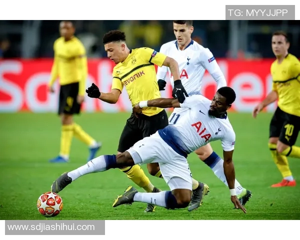 杨丽专访回顾排球辉煌历程与欧冠足球的激情碰撞 杨丽专访回顾排球辉煌历程与欧冠足球的激情碰撞