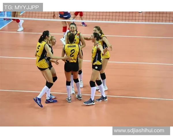 深度解析广州排球队运营模式与欧冠足球的战略联动 深度解析广州排球队运营模式与欧冠足球的战略联动