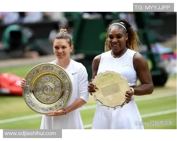 体育实时数据西安网球队耐力对比深度解析与训练策略探讨