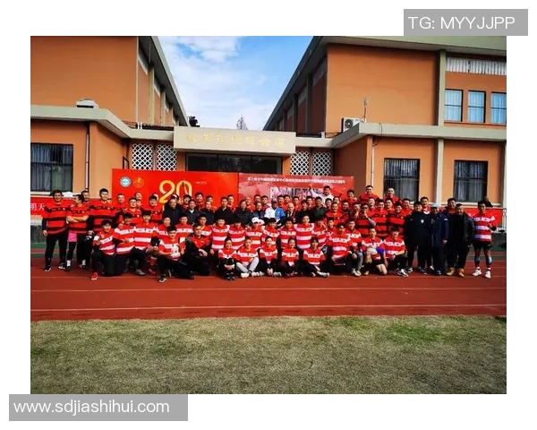 体育实时数据南京排球队的拼搏历程与荣耀时刻全景纪实