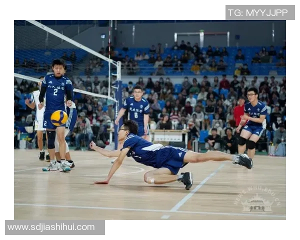 武汉排球队创新高引领排球节奏排名新潮流实时数据 武汉排球队创新高引领排球节奏排名新潮流实时数据