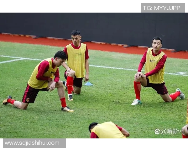 运动数据南京足球队比赛经验引发热议球迷对战术与表现的不同看法